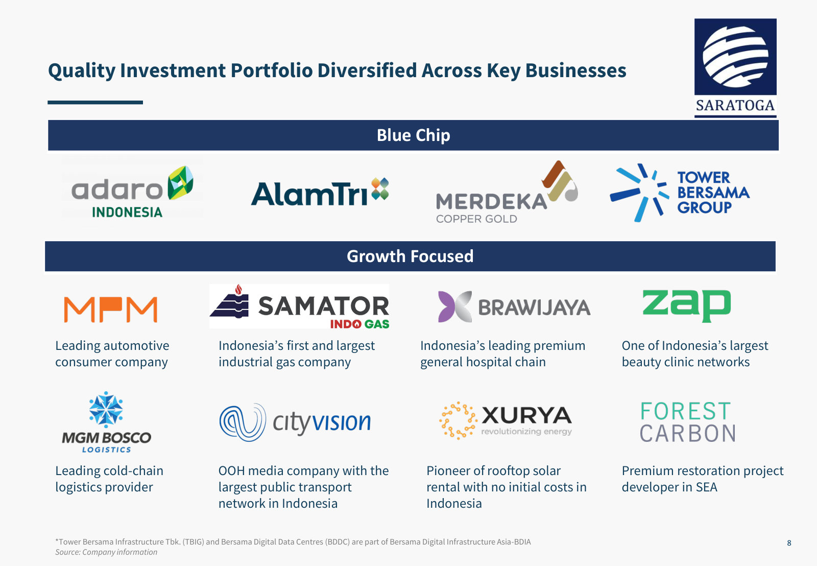 The portfolio split into blue chip and growth, each name tagged with what it actually does.